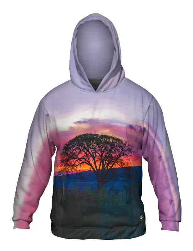 Classic Shirts Tree In Silhouette At Sunset