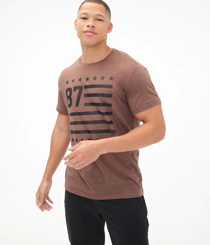 Active Tops Aeropostale Men's 87 Flag Graphic Tee